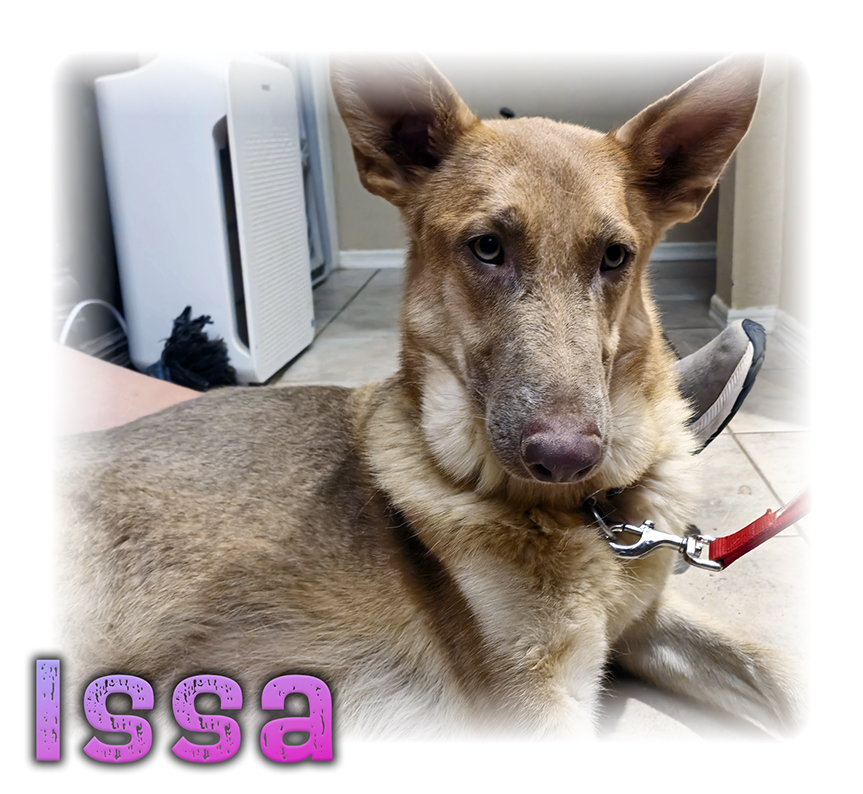 Issa